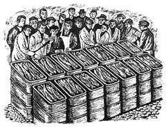 Fish and Chips, Auction